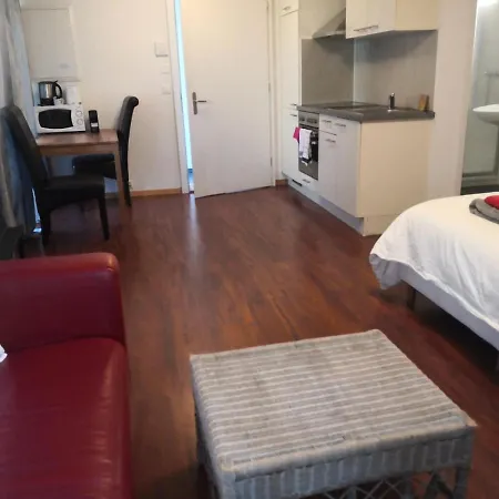 Unteregasse21 شقة فندقية *